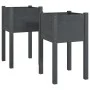 Planters 2 units solid gray pine wood 40x40x70 cm by vidaXL, Pots and planters - Ref: Foro24-810794, Price: 51,55 €, Discount: %