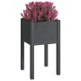 Planters 2 units solid gray pine wood 40x40x70 cm by vidaXL, Pots and planters - Ref: Foro24-810794, Price: 51,98 €, Discount: %