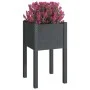Planters 2 units solid gray pine wood 40x40x70 cm by vidaXL, Pots and planters - Ref: Foro24-810794, Price: 51,55 €, Discount: %