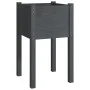 Planters 2 units solid gray pine wood 40x40x70 cm by vidaXL, Pots and planters - Ref: Foro24-810794, Price: 51,55 €, Discount: %