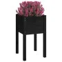 2 solid black pine wood planters 40x40x70 cm by vidaXL, Pots and planters - Ref: Foro24-810798, Price: 45,12 €, Discount: %