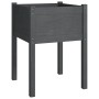 Solid gray pine wood planter 50x50x70 cm by vidaXL, Pots and planters - Ref: Foro24-810803, Price: 31,45 €, Discount: %