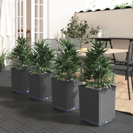 Jardineras 4 uds polipropileno negro 30x30x37 cm en Maceteros y jardineras | Comprar online en Foro24