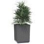 Jardineras 4 uds polipropileno negro 30x30x37 cm en Maceteros y jardineras | Comprar online en Foro24