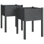 Planters 2 pcs solid gray pine wood 50x50x70 cm by vidaXL, Pots and planters - Ref: Foro24-810804, Price: 54,69 €, Discount: %