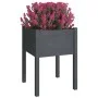 Planters 2 pcs solid gray pine wood 50x50x70 cm by vidaXL, Pots and planters - Ref: Foro24-810804, Price: 54,69 €, Discount: %