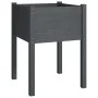 Planters 2 pcs solid gray pine wood 50x50x70 cm by vidaXL, Pots and planters - Ref: Foro24-810804, Price: 54,69 €, Discount: %