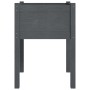 Planters 2 pcs solid gray pine wood 50x50x70 cm by vidaXL, Pots and planters - Ref: Foro24-810804, Price: 54,69 €, Discount: %