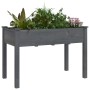 Jardinera con forro madera maciza de abeto gris 118x59x76 cm