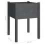 Planters 2 pcs solid gray pine wood 50x50x70 cm by vidaXL, Pots and planters - Ref: Foro24-810804, Price: 54,69 €, Discount: %