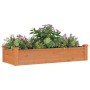 Jardinera arriate forro madera maciza abeto marrón 120x45x25 cm en Maceteros y jardineras | Comprar online en Foro24