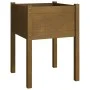 Honigbrauner Pflanzkasten aus massivem Kiefernholz, 50 x 50 x 70 cm von vidaXL, Töpfe und Pflanzgefäße - Ref: Foro24-810805, ...