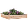 Jardinera arriate con forro madera maciza abeto 120x60x25 cm en Maceteros y jardineras | Comprar online en Foro24