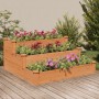 Jardinera arriate madera maciza de abeto marrón 120x120x56 cm en Maceteros y jardineras | Comprar online en Foro24