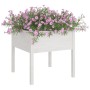 Solid white pine wood planter 70x70x70 cm by vidaXL, Pots and planters - Ref: Foro24-810811, Price: 41,02 €, Discount: %