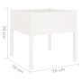 Pflanzgefäß aus massivem Weißkiefernholz, 70 x 70 x 70 cm von vidaXL, Töpfe und Pflanzgefäße - Ref: Foro24-810811, Preis: 41,...