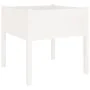 Pflanzgefäße, 2 Stück, massives weißes Kiefernholz, 70 x 70 x 70 cm von vidaXL, Töpfe und Pflanzgefäße - Ref: Foro24-810812, ...