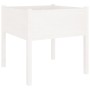 Planters 2 pcs solid white pine wood 70x70x70 cm by vidaXL, Pots and planters - Ref: Foro24-810812, Price: 72,47 €, Discount: %