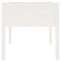 Pflanzgefäße, 2 Stück, massives weißes Kiefernholz, 70 x 70 x 70 cm von vidaXL, Töpfe und Pflanzgefäße - Ref: Foro24-810812, ...