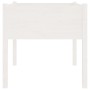 Pflanzgefäße, 2 Stück, massives weißes Kiefernholz, 70 x 70 x 70 cm von vidaXL, Töpfe und Pflanzgefäße - Ref: Foro24-810812, ...