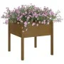 Solid pine wood planter in honey brown color, 70x70x70 cm by vidaXL, Pots and planters - Ref: Foro24-810815, Price: 46,38 €, ...