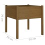 Jardinera de madera maciza de pino marrón miel 70x70x70 cm de vidaXL, Maceteros y jardineras - Ref: Foro24-810815, Precio: 46...