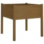 Pflanzgefäße, 2 Stück, massives honigbraunes Kiefernholz, 70 x 70 x 70 cm von vidaXL, Töpfe und Pflanzgefäße - Ref: Foro24-81...