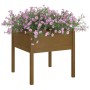 Planters 2 pcs solid honey brown pine wood 70x70x70 cm by vidaXL, Pots and planters - Ref: Foro24-810816, Price: 82,26 €, Dis...
