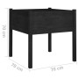 Pflanzgefäße, 2 Stück, massives schwarzes Kiefernholz, 70 x 70 x 70 cm von vidaXL, Töpfe und Pflanzgefäße - Ref: Foro24-81081...