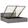 Hydraulisches Canape-Bett mit LED-Aufbewahrung, taupefarbener Stoff, 160 x 200 cm von vidaXL, Betten und Lattenroste - Ref: F...