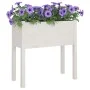 Pflanzgefäße 2 Stück massives Zirbenholz weiß 70x31x70 cm von vidaXL, Töpfe und Pflanzgefäße - Ref: Foro24-810822, Preis: 84,...