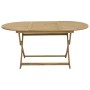 Mesa de jardín plegable madera maciza de acacia 160x85x75 cm