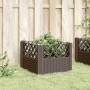 Jardinera con clavijas PP marrón 43,5x43,5x43,5 cm en Maceteros y jardineras | Comprar online en Foro24