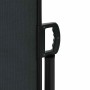 Toldo lateral retráctil negro 220x300 cm