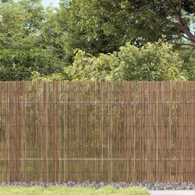 Cerca de Juncos Marrón 500 x 140 cm Juncos