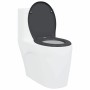 Asiento de Inodoro de Liberación Rápida Antracita