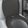 Asiento de Inodoro de Liberación Rápida Antracita