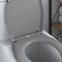 Asiento de Inodoro de Liberación Rápida Gris