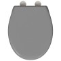 Asiento de Inodoro de Liberación Rápida Gris