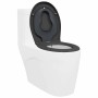 Asiento de Inodoro de Liberación Rápida Antracita
