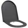 Asiento de Inodoro de Liberación Rápida Antracita
