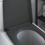 Asiento de Inodoro de Liberación Rápida Antracita