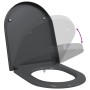 Asiento de Inodoro de Liberación Rápida Antracita