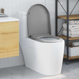 Asiento de Inodoro de Liberación Rápida Gris 46.2 x 36 x 4.3 cm