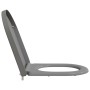 Asiento de Inodoro de Liberación Rápida Gris 46.2 x 36 x 4.3 cm
