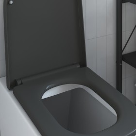 Asiento de Inodoro de Liberación Rápida Antracita