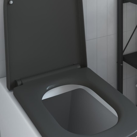 Asiento de Inodoro de Liberación Rápida Antracita
