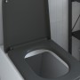 Asiento de Inodoro de Liberación Rápida Antracita