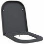 Asiento de Inodoro de Liberación Rápida Antracita