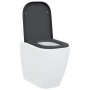 Asiento de Inodoro de Liberación Rápida Antracita